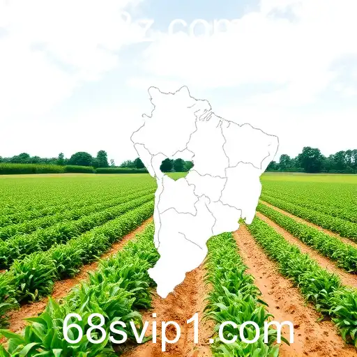 Transformações Digitais e Sustentabilidade: Uma Nova Era no Brasil